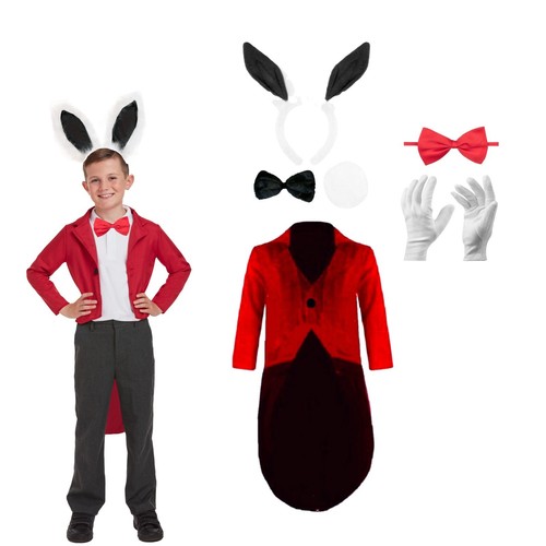 White rabbit costume hare - rabbit,
