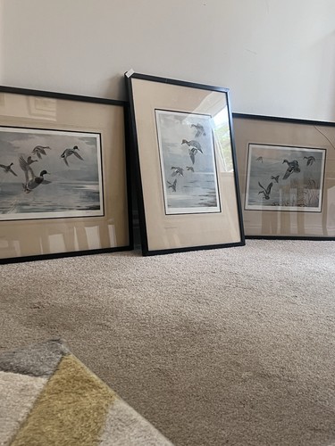 Set signed framed - set,