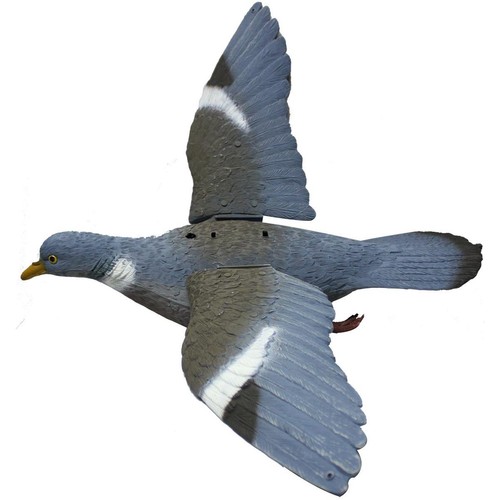 Sport plast flapping flying - plast,