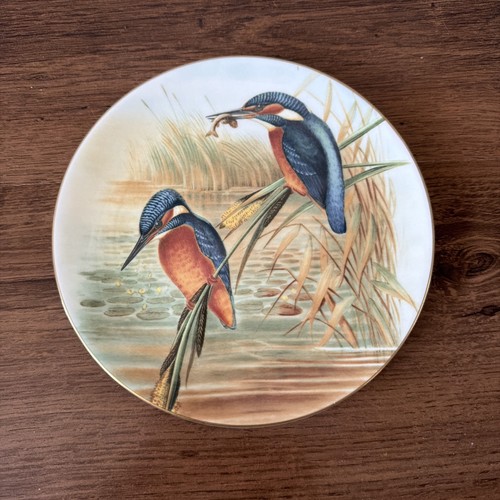 Coalport john goulds birds - john, of