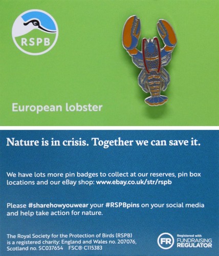 Rspb pin badge niic european - pin,