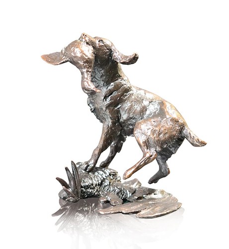 Springer spaniel bronze - springer,