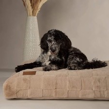 Scruffs Oxford Orthopaedic Mattress Dog Bed - Memory Foam Dog Bed - Med to XL
