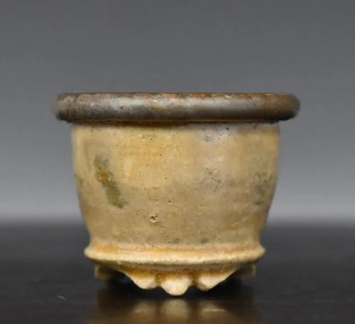 Japanese bonsai pot kujaku - bonsai,