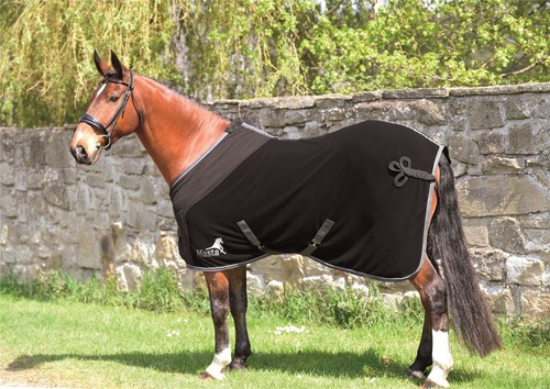 Horse turnout rug riding - horse,