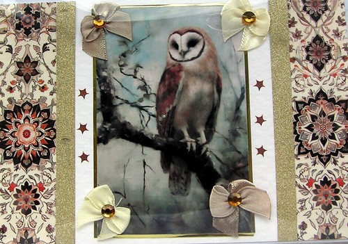 Wildlife owl bird hand - owl,