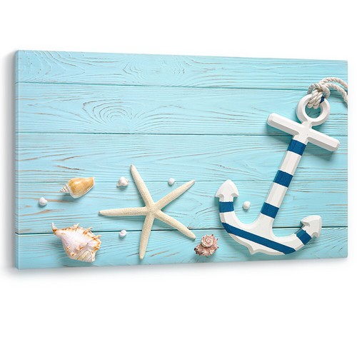Marine anchor starfish - marine,