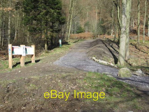 Photo 6x4 mountain bike trail - photo,