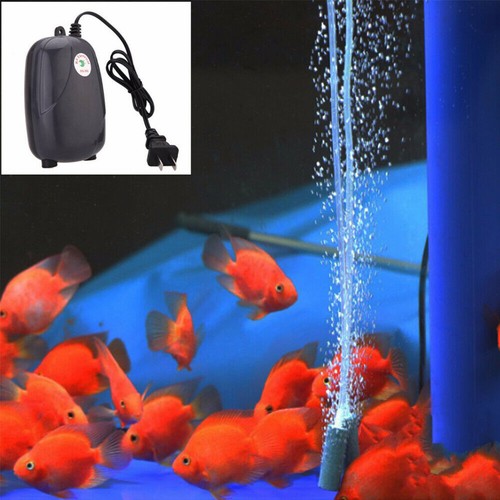 Aquarium air oxygen - aquarium, 2