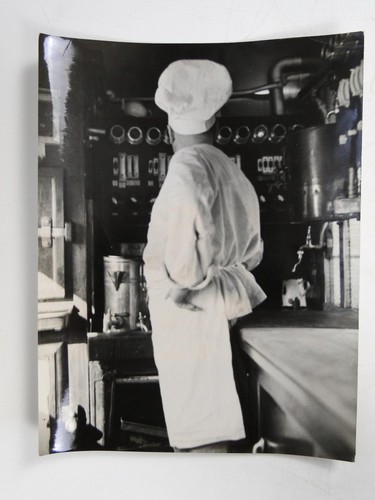 Chef cook kitchen - cook,