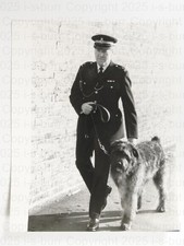 Police Dog Jango Bouvier