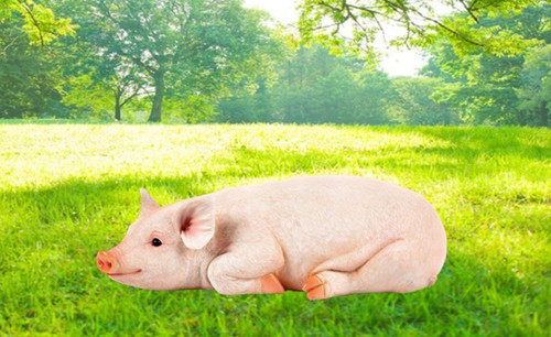 Resting pig ornament resin - pig,