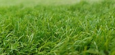 Artificial Grass Used - 2x4m/2x3.5m (20mm)