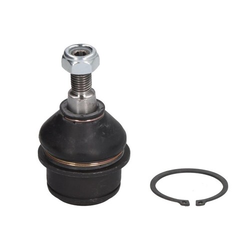 Reinhoch rh03 6009 ball - reinhoch, joint