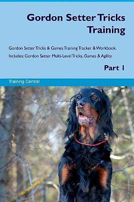 Gordon setter tricks training - gordon,