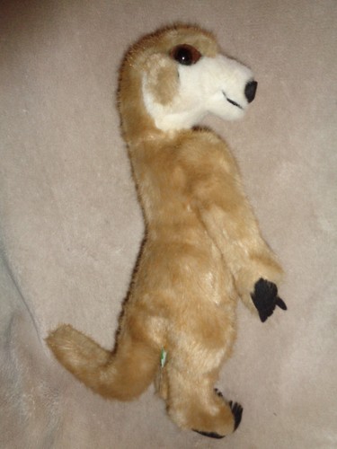 Meerkat standing 1989 - standing,