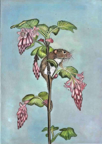 Original color pencil - , artwork
