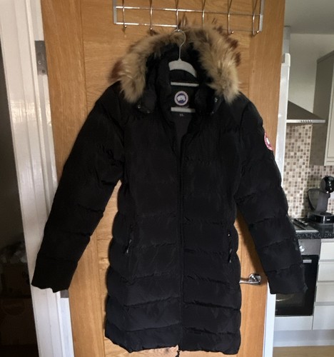 Canada goose arctic program - arctic,