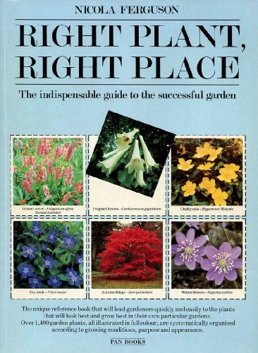 Right plant - right, over