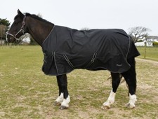 Rhinegold CAPRI Standard Neck