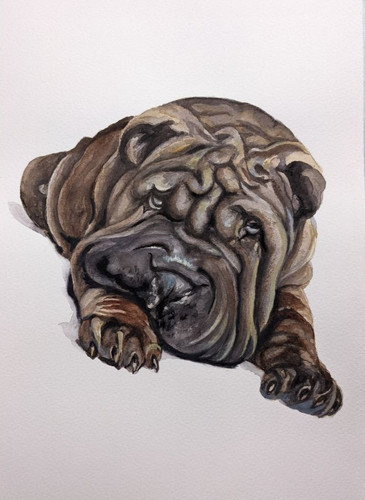 Mastiff puppy dog - puppy, watercolor
