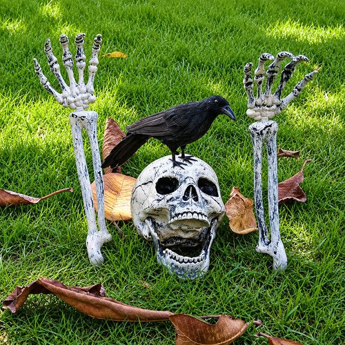 Plastic halloween skull and - plastic,