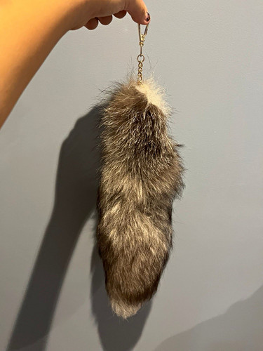 Multicoloured animal fur tail - animal,