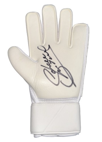 Sander westerveld signed nike - westerveld,