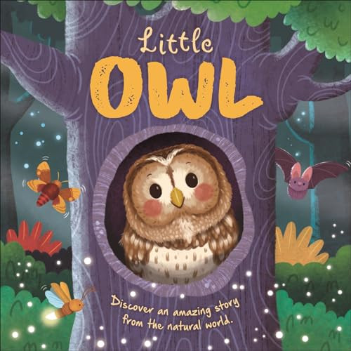 Little owl illustrated story - owl, (illustrated