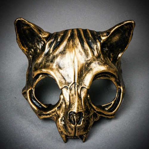 Wild cat skull animal - wild,