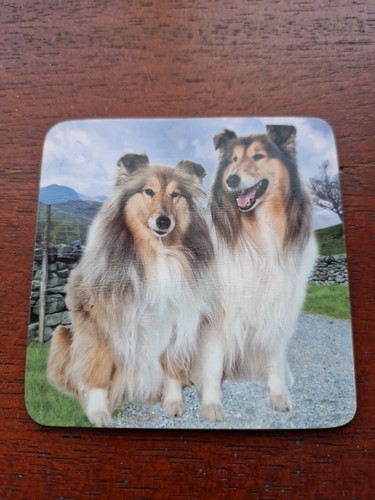 Shetland sheepdog coaster - shetland,