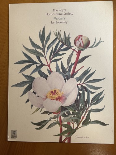 Vintage large rhs - large, peony