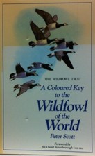 Coloured key the wildfowl - the,