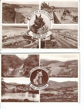 SCOTTISH TERRIER -2 x