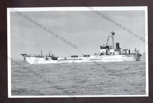 Wl8026 royal navy - royal,