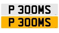P30 OMS - P300 MS - P 3OOMS