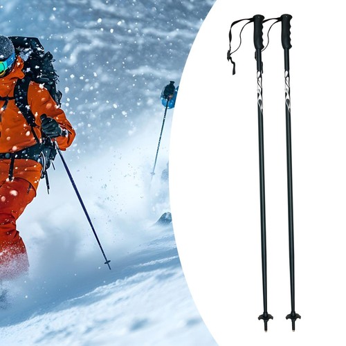 Pieces ski poles portable - ski,