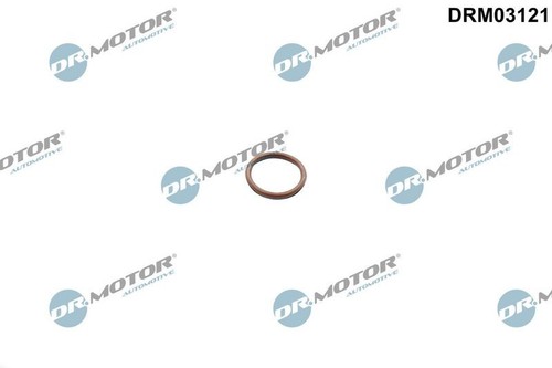 Fits motor drm03121 gasket - fits,