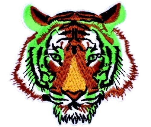 Bengal tiger patch big cat - tiger,