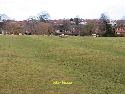 Photo 6x4 ridge and furrow - and, in