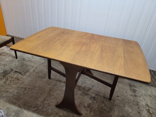 Plan mid century drop - century, leaf