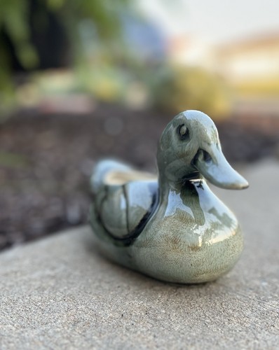 Mallard duck ceramic - duck, planter