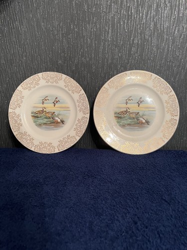 Morleyware serving dinner - morleyware, serving/dinner