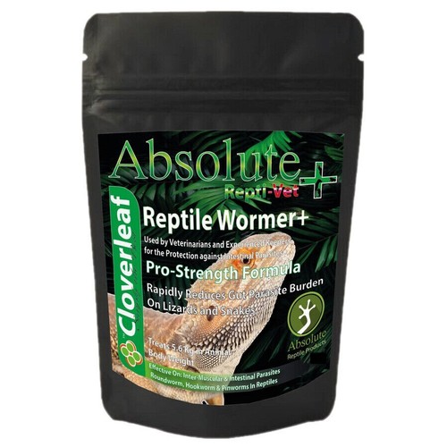 Cloverleaf absolute reptile - cloverleaf,