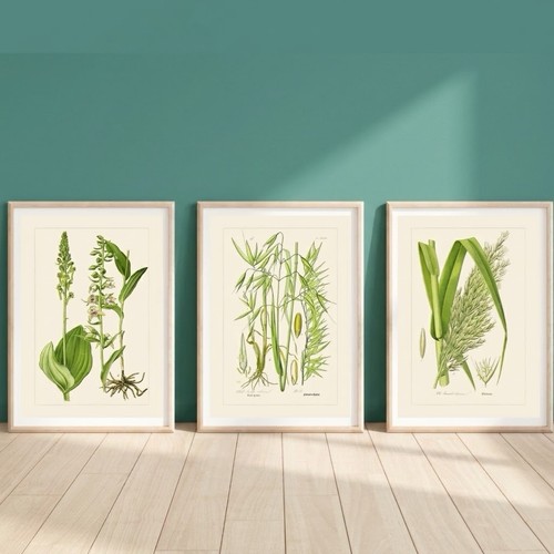 Set vintage botanical - of, 3
