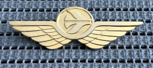 Air algerie pilot wings - air,