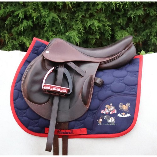 Equestrian thelwell - equestrian,