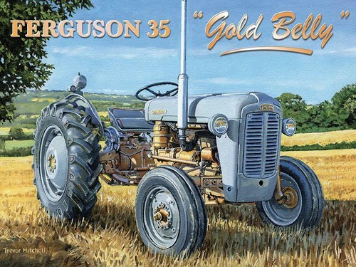 Jumbo metal sign ferguson - metal,