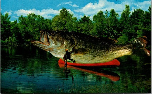 The big one got away - one, giant