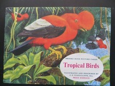 Brooke Bond - Tropical Birds -